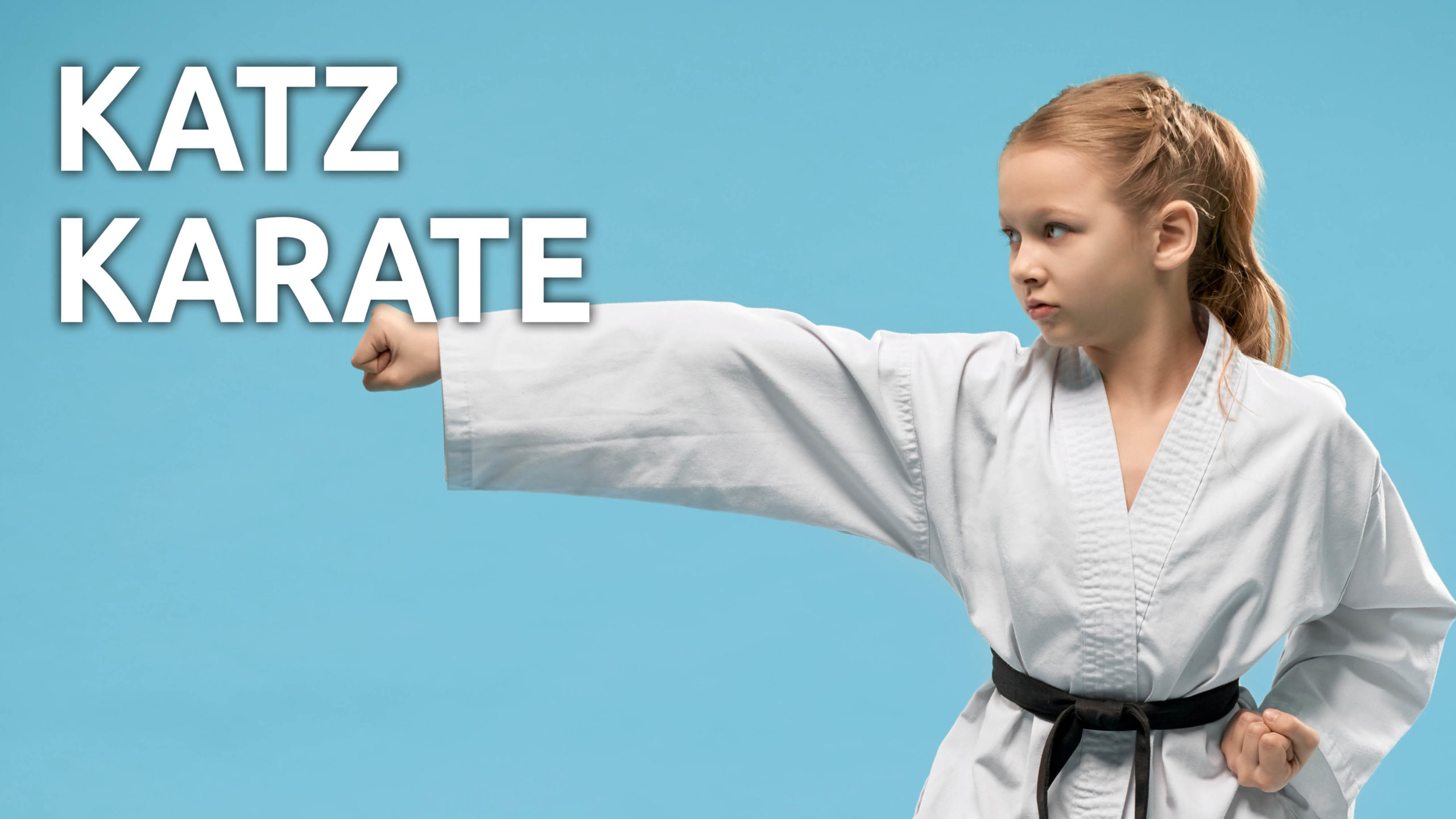 Read more about the article Katz Karate