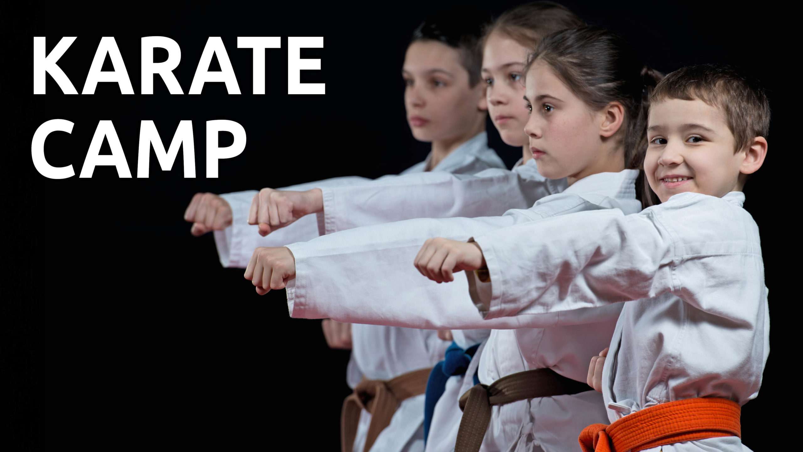 Read more about the article Karate Camp