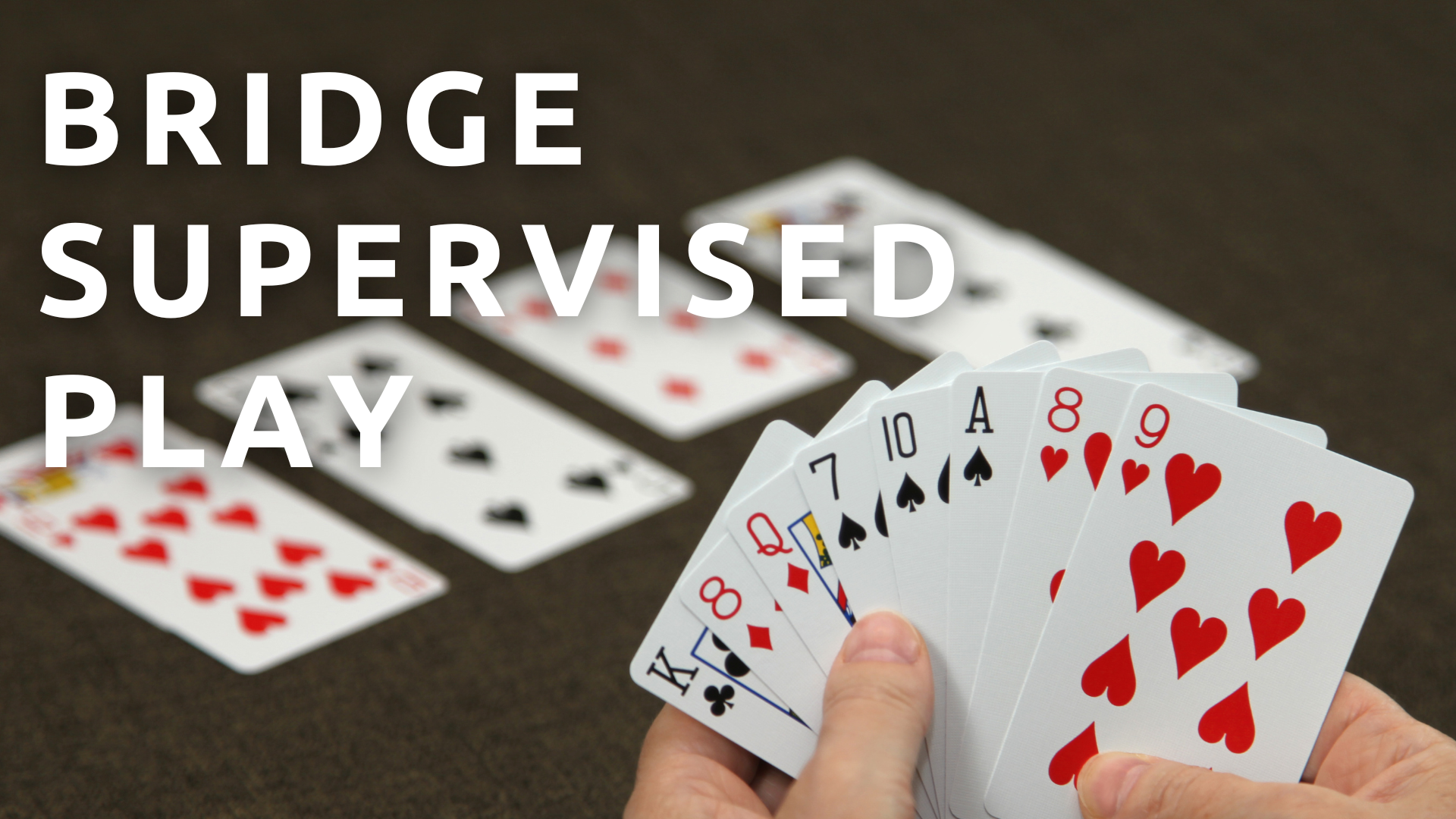 Read more about the article Bridge Supervised Play