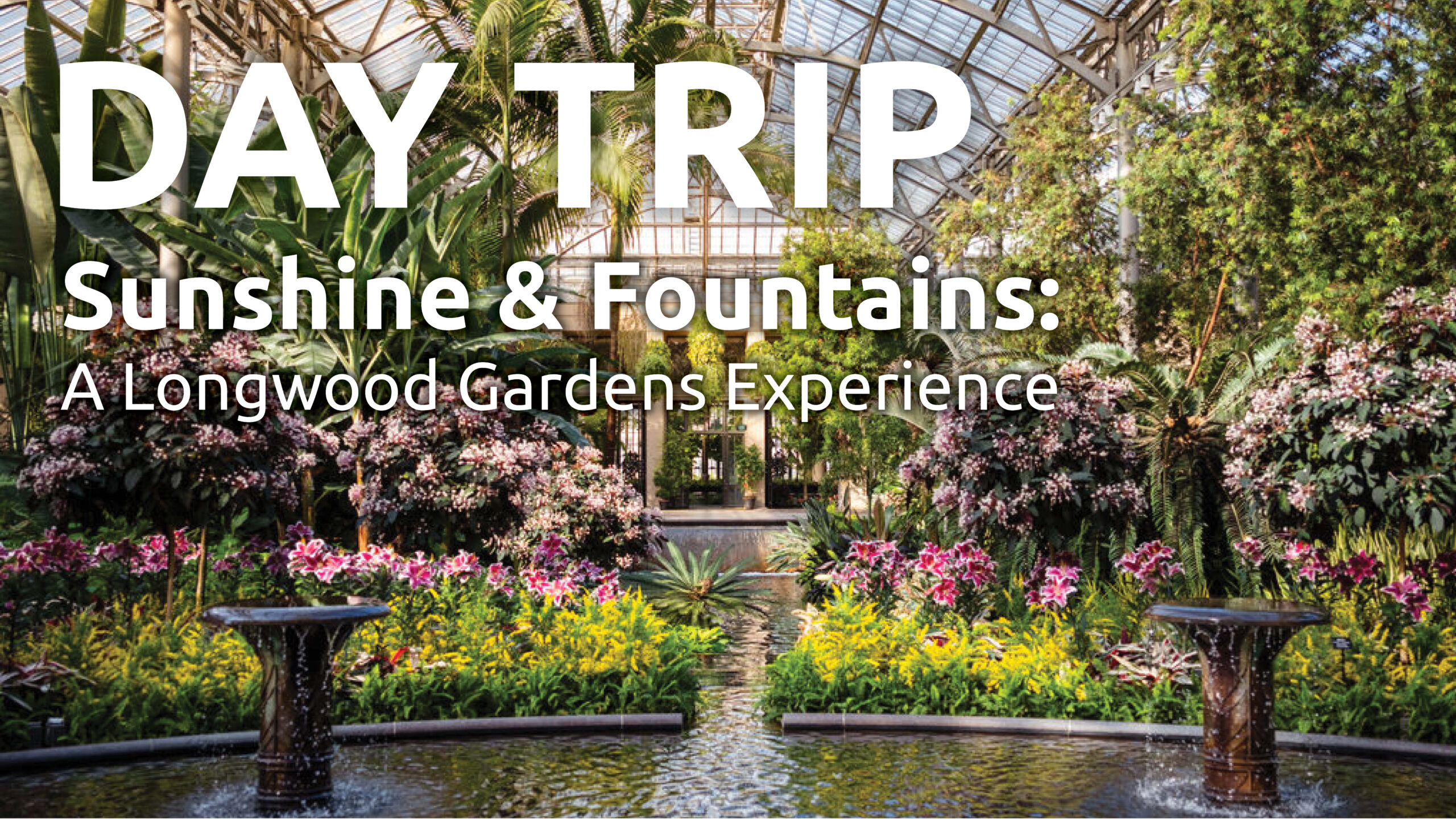 Read more about the article Day Trip to Longwood Gardens